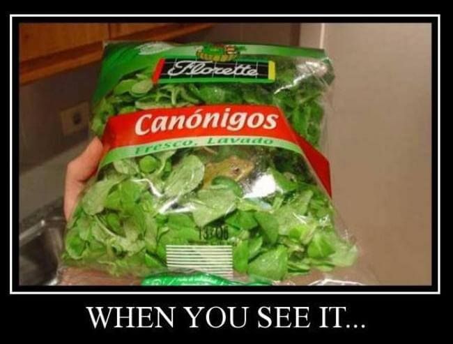 Have you noticed… -   When you see it…