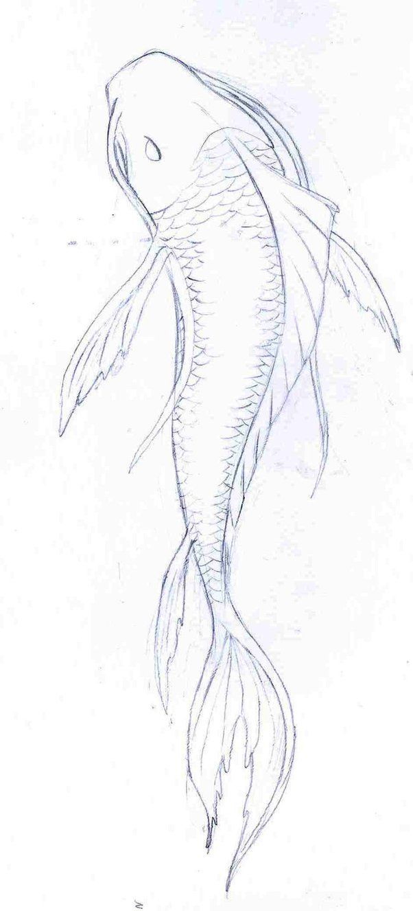 koi fish drawings in pencil – Google Search