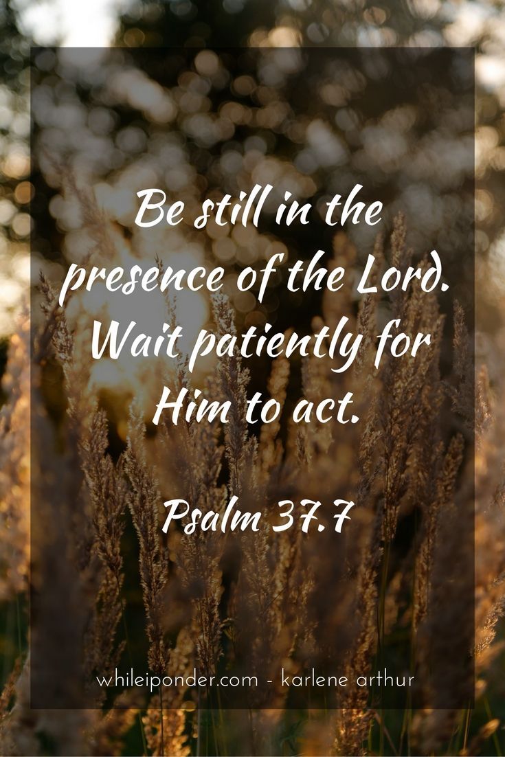 Be still in the presence of the Lord. Wait patiently for Him to act.