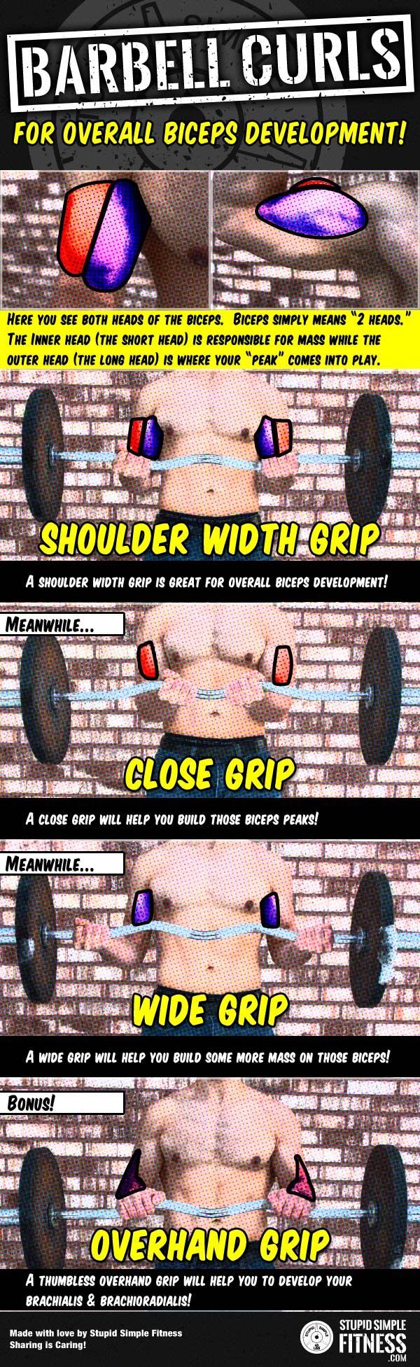 Build bigger biceps with this one trick targeting different bicep heads infographi