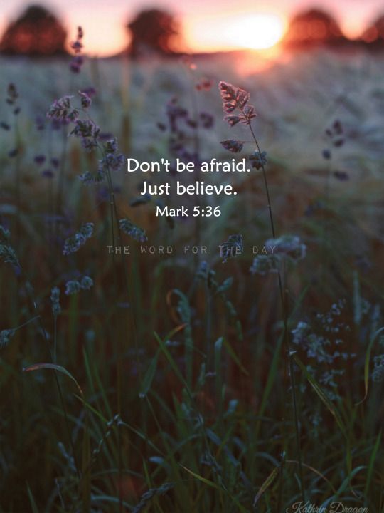 fear quotes, christian quotes, bible quotes, bible verse