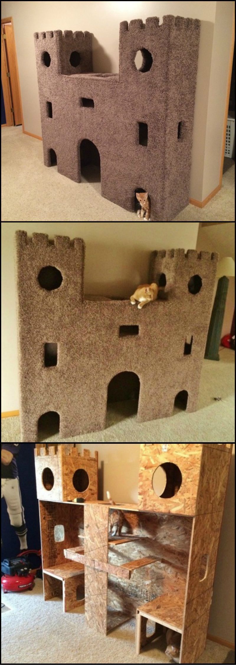 We found the ultimate cat castle! This is a great idea to keep our indoor cats bus