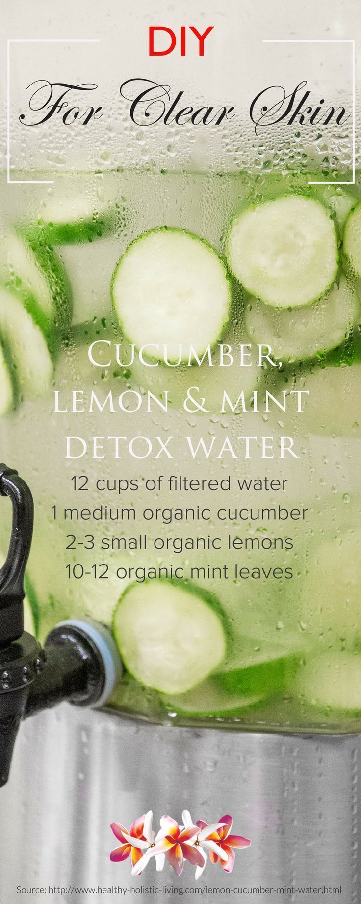 5 detox water recipes for maintaining a healthy clear skin! Discover DIY beauty recipes and natural skin care tips at