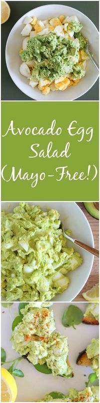 Avocado Egg Salad (Mayo-Free!) – an easy 4-ingredient lunch recipe | theroastedroot.net #paleo
