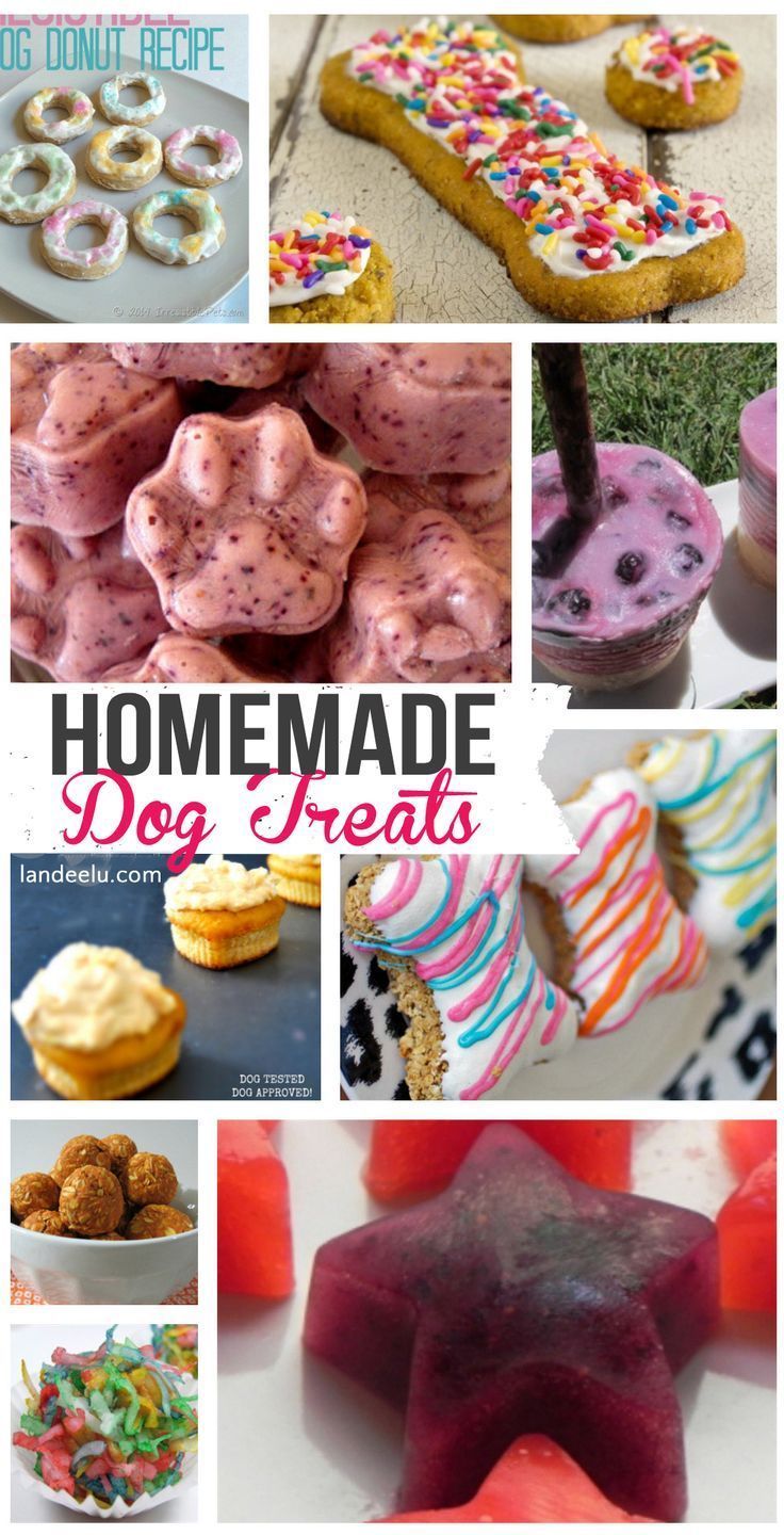 Homemade Dog Treat Recipes | landeelu.com Whip up a healthy homemade treat for you