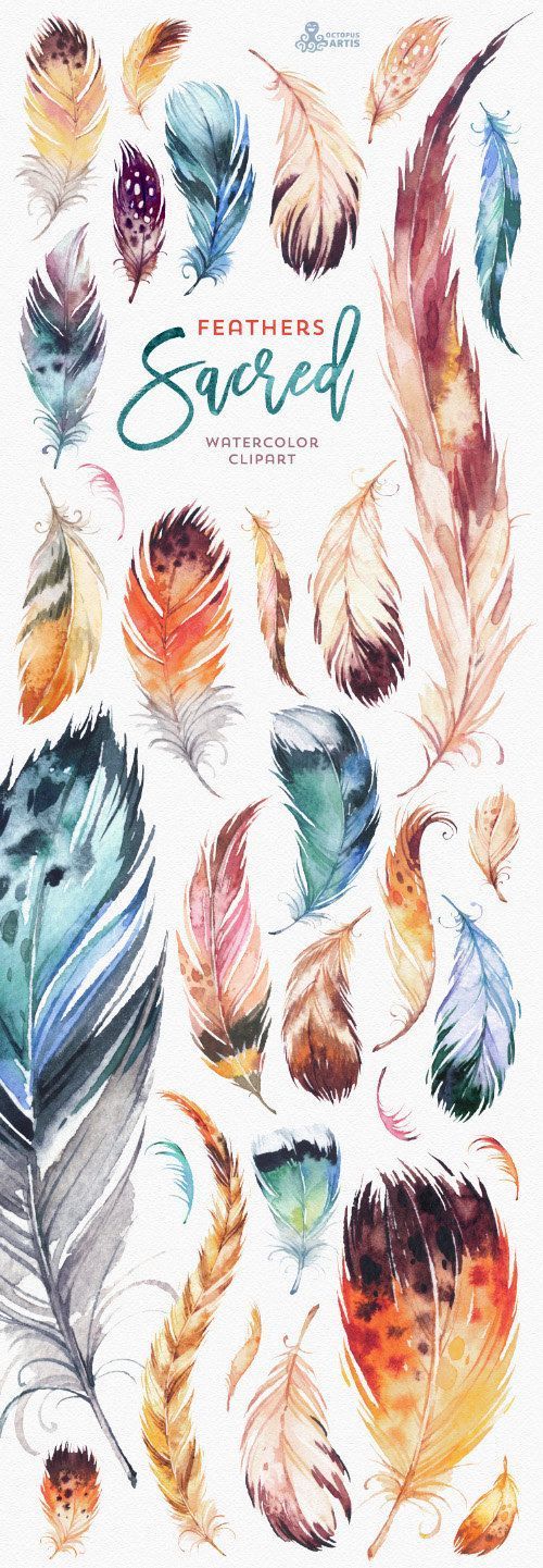 This set of high quality hand painted Native Feathers Clipart in High Resolution. Included separate feathers and template. Perfect