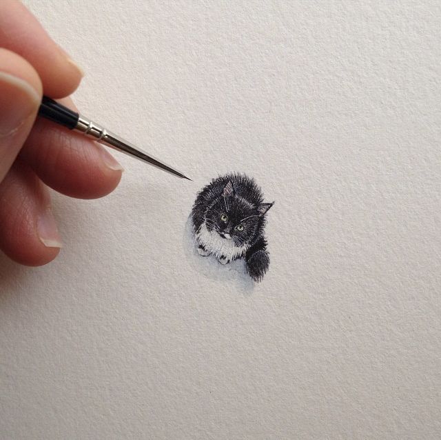 Amazing miniature cat