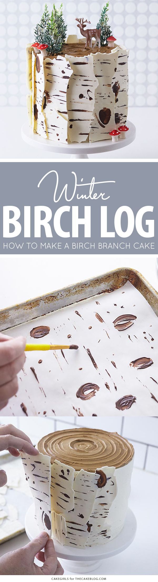 Birch Log Cake! Learn how to make this wintry, birch cake that looks just like a natural birch branch | by Cakegirls for