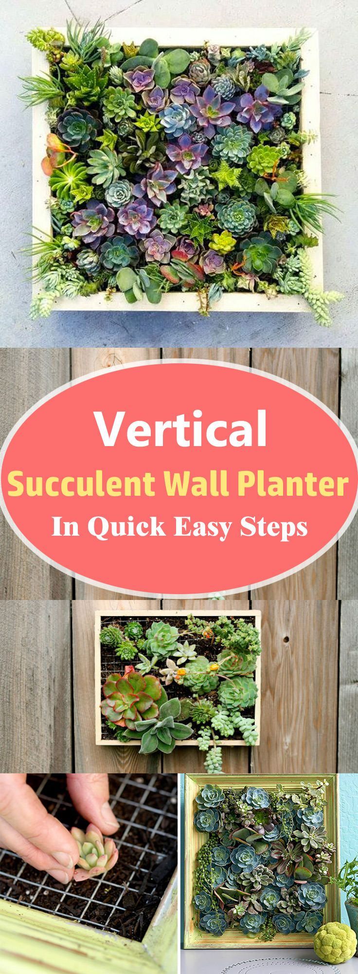 Learn how to make a vertical succulent wall planter in a few steps without spending money. You dont need to be a great DIYer to