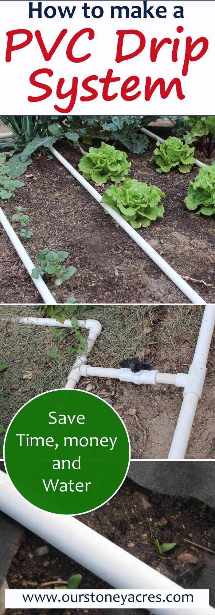 PVC Drip Irrigation is an inexpensive and easy to build method for watering your backyard garden.  After adding a PVC drip