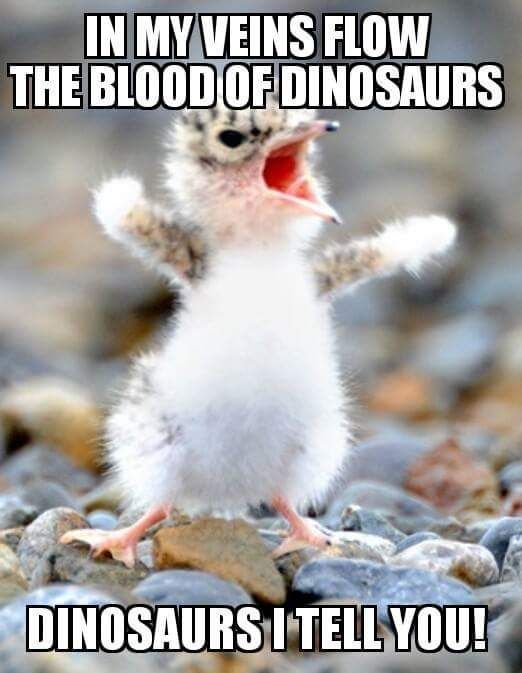 The blood of dinosaurs flows in my veins…