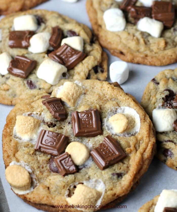 Smore Chocolate Chip Gooey Bliss Cookies
