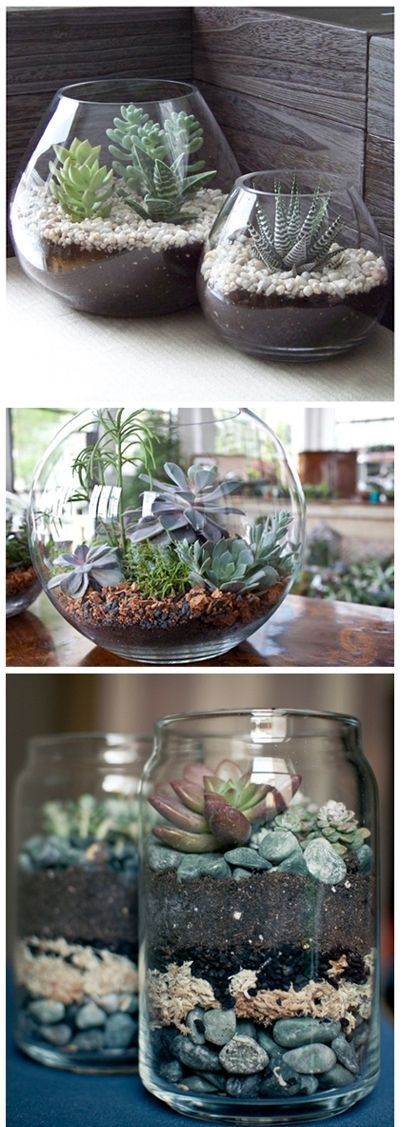 Beautiful DIY Succulent Terrariums – Super easy ! Just layer succulent potting soil, rocks, and cactus. Love this !