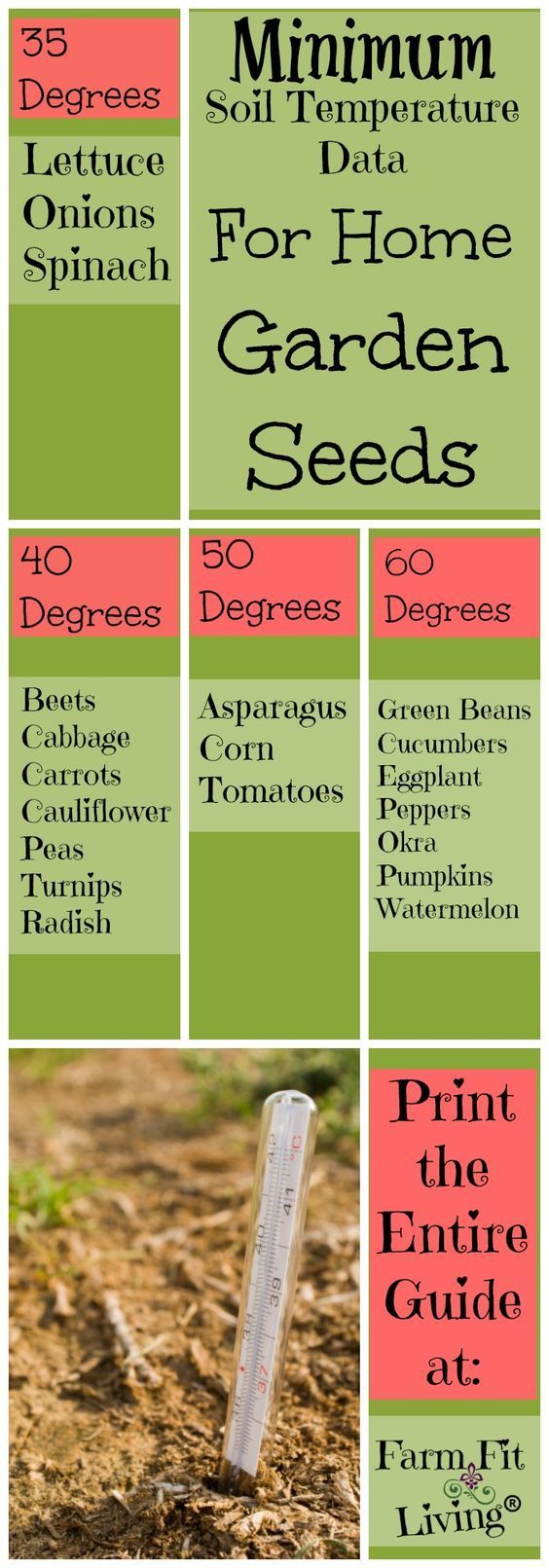 Check soil temperature data before planting seeds in the soil | Measure soil temperature | Planting the Garden | Home Gardens