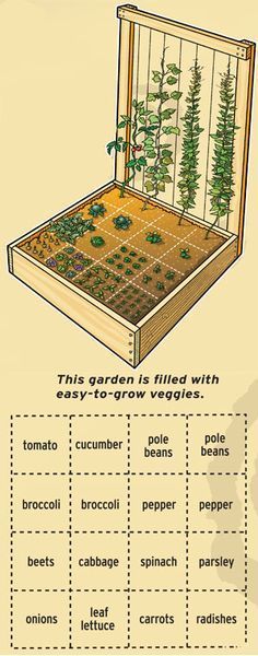 Easy to grow veggies must haves for every gardener. Use an all purpose garden tool to do the job, www.amazon.com/…