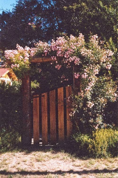 Garden Wood Gate