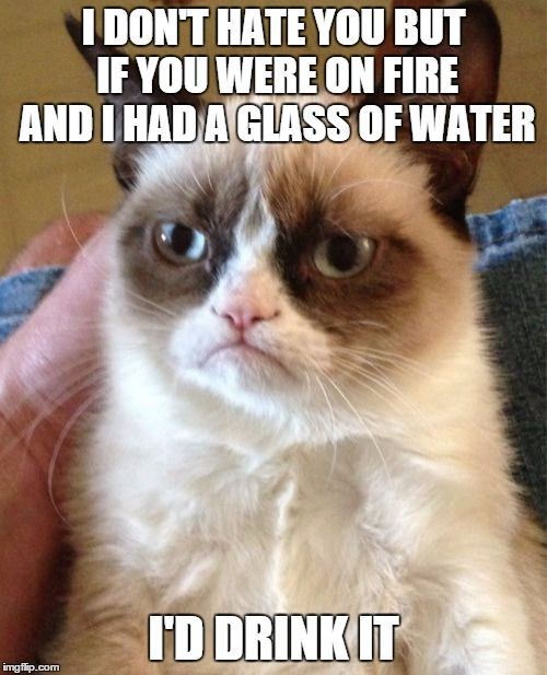 Grumpy Cat Meme | I DONT HATE YOU BUT IF YOU WERE ON FIRE AND I HAD A GLASS OF WATER ID DRINK IT