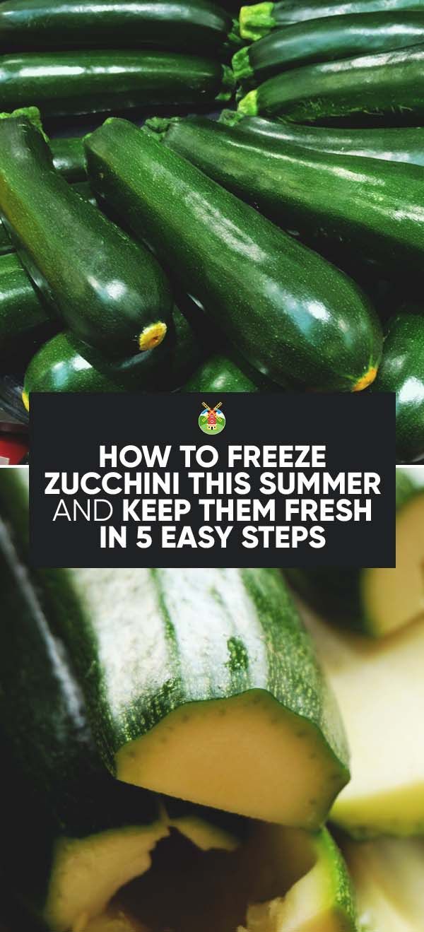 How to Freeze Zucchini This Summer and Keep Them Fresh in 5 Easy Steps