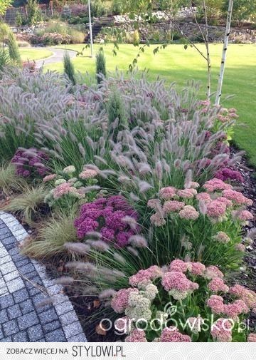 Ornamental grass and flower garden idea. …