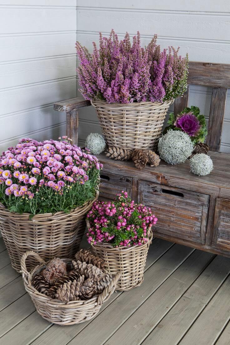 Pretty Wicker Basket Flower Pots