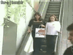 The ladder disaster: | 33 GIFs That Will Make You Howl With Laughter Every Single Time