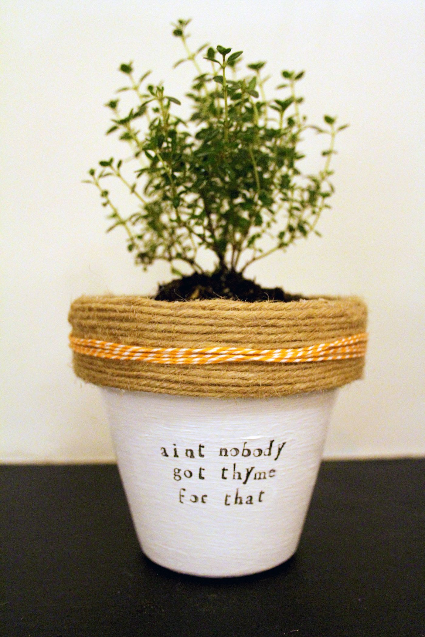 This is my favorite! Aint nobody got thyme for that! Plant themed puns! Check the whole store for more!