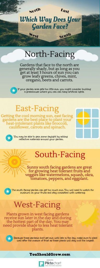 Use direction to approximate sun exposure in your garden.