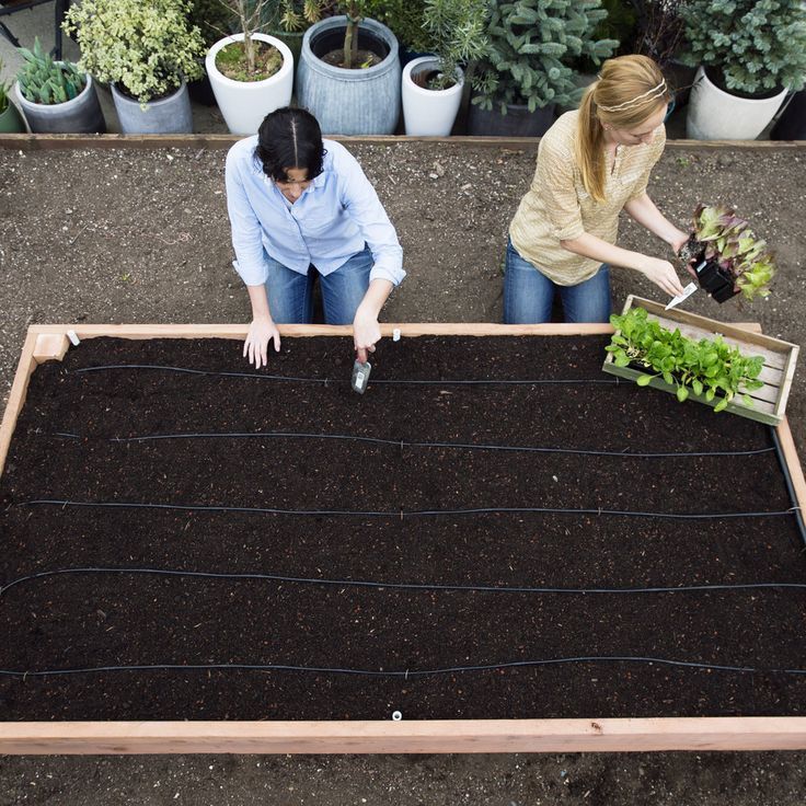 Use these DIY instructions to make your own planting box for veggies