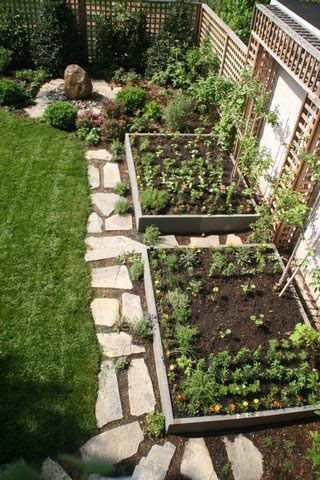 Vegetable boxes incorporated into small yard. Note the trellis at the back of each bed. This would be very pretty along the back
