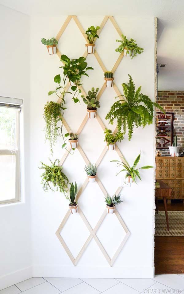 Want to make your interior more beautiful and attractive? Why not try to make a mini garden by planting some indoor plants? I’m