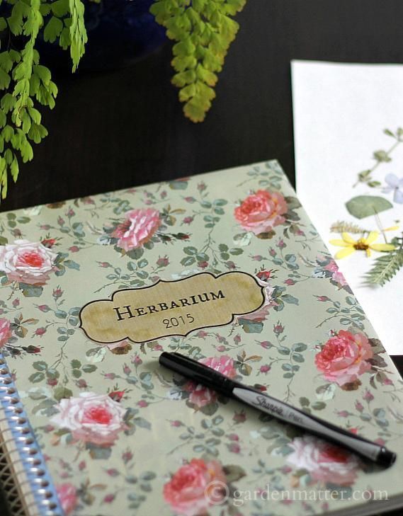 What’s an Herbarium? I’ll tell you what it is, where it came from and how you can make you own. ~ gardenmatter.com