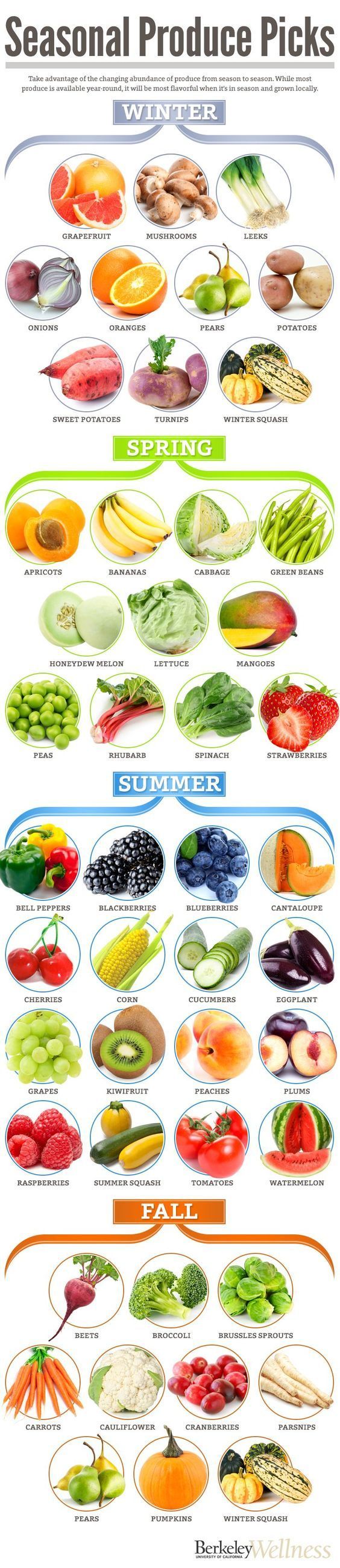 Whats in season? Here is a helpful guide to help you select produce thats at its peak.