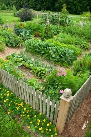 Beautiful vegetable garden – Cynthias Cottage Design: Is it Spring yet?