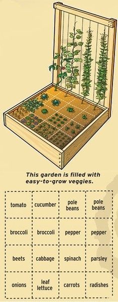 perfect small vegetable garden layout for my 4×4 raised beds – I like this. Repin!