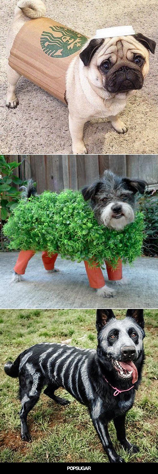 Pin for Later: 15 of the Best DIY Halloween Dog Costumes Out There
