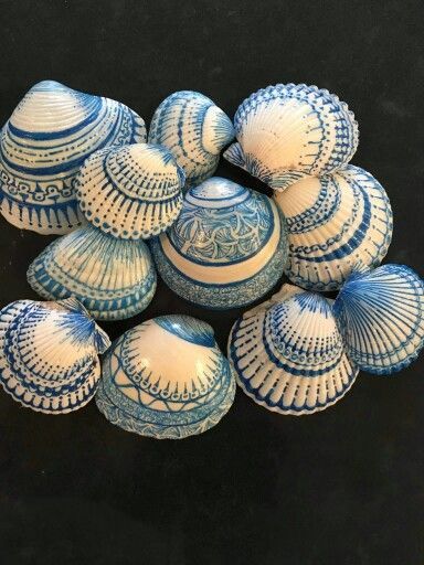 Sharpied Sea Shells: Use 1.0 size sharpie, following lines, curves & doodle away! By Barbara Moloney Callen