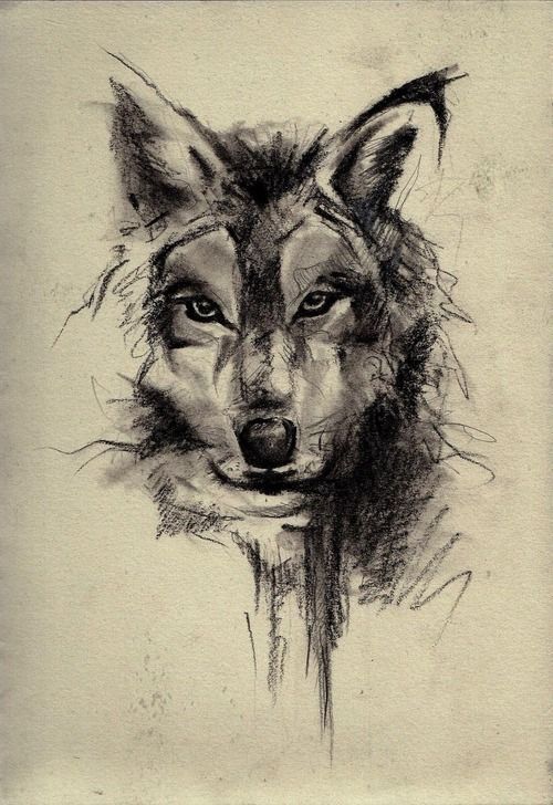 Wolf tattoo for suuuuure: