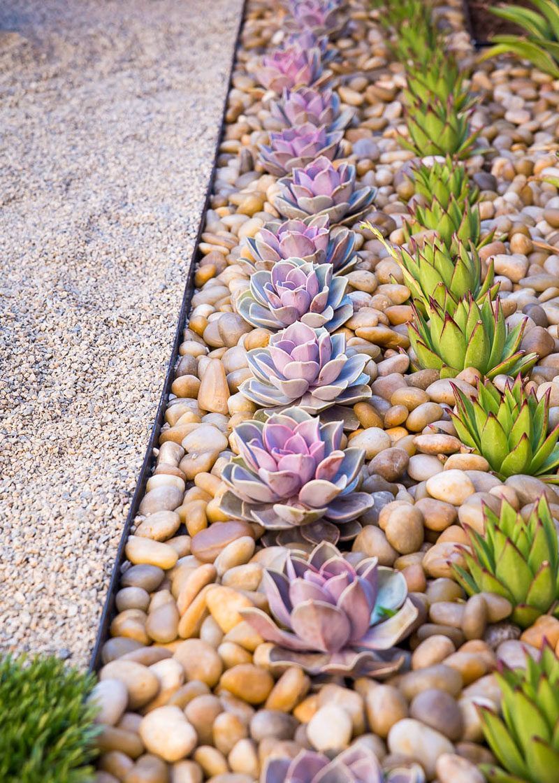 8 Elements To Include When Designing Your Zen Garden // Succulents — Plant life connects you to nature and aids in the process of