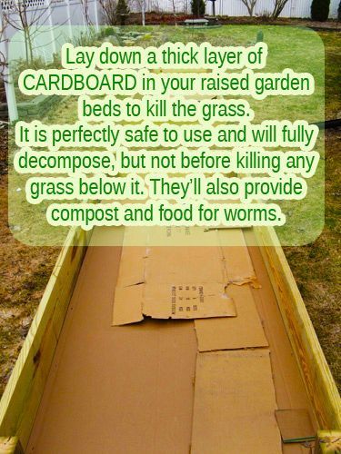 A tip for those about to create a raised garden bed   –  To connect with us, and our community of people from Australia and around