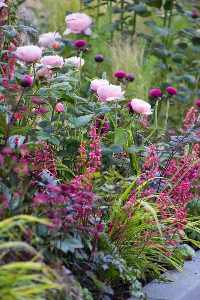 Adore the layers of pink. Wild, romantic and yet elegant garden colour. #terrace_garden_grass