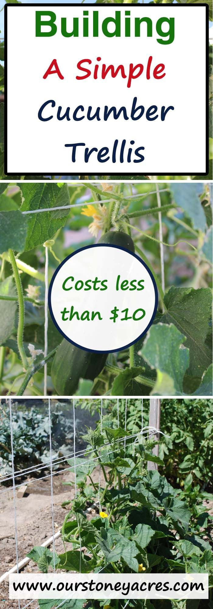 Building a simple cucumber trellis for your garden will help the production of your cucumber plants.  This plan uses easy to find