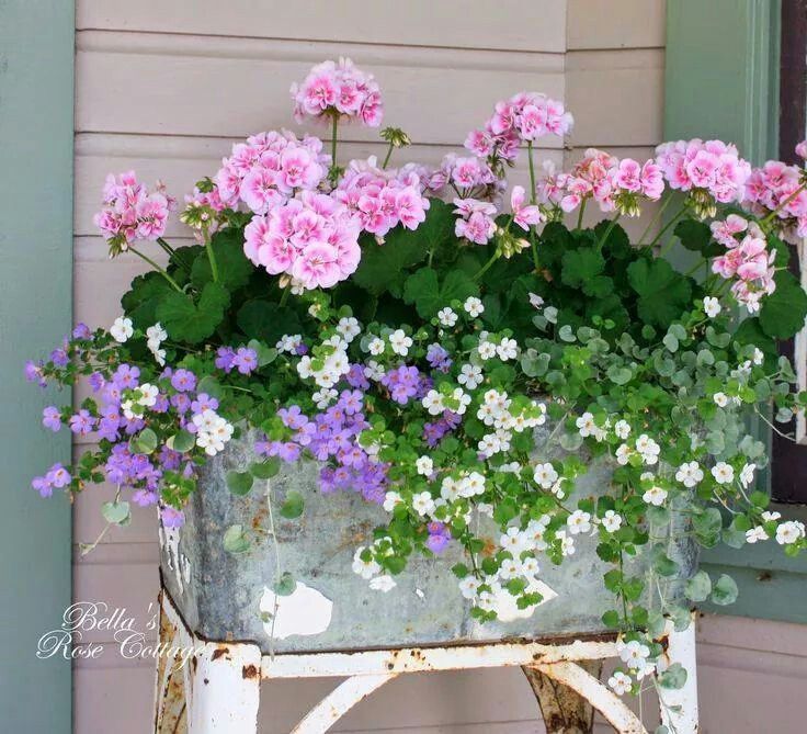 Cottage Garden Ideas from Pinterest for Our Blue Cottage