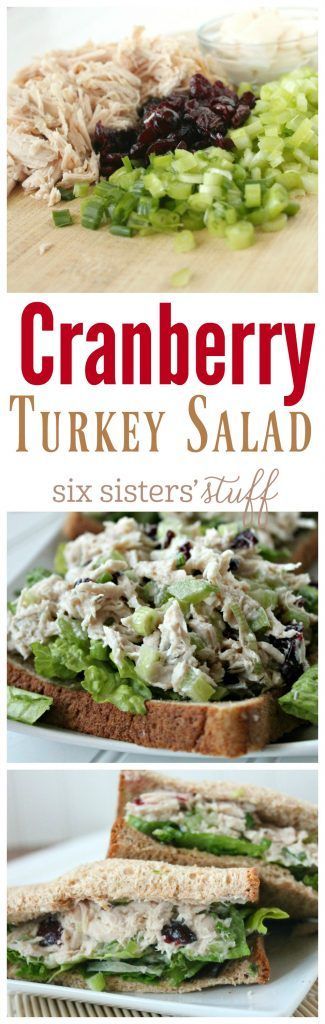 Cranberry Turkey Salad Sandwich recipe from SixSistersStuff.com | Simple, delicious and a great way to use leftover turkey!