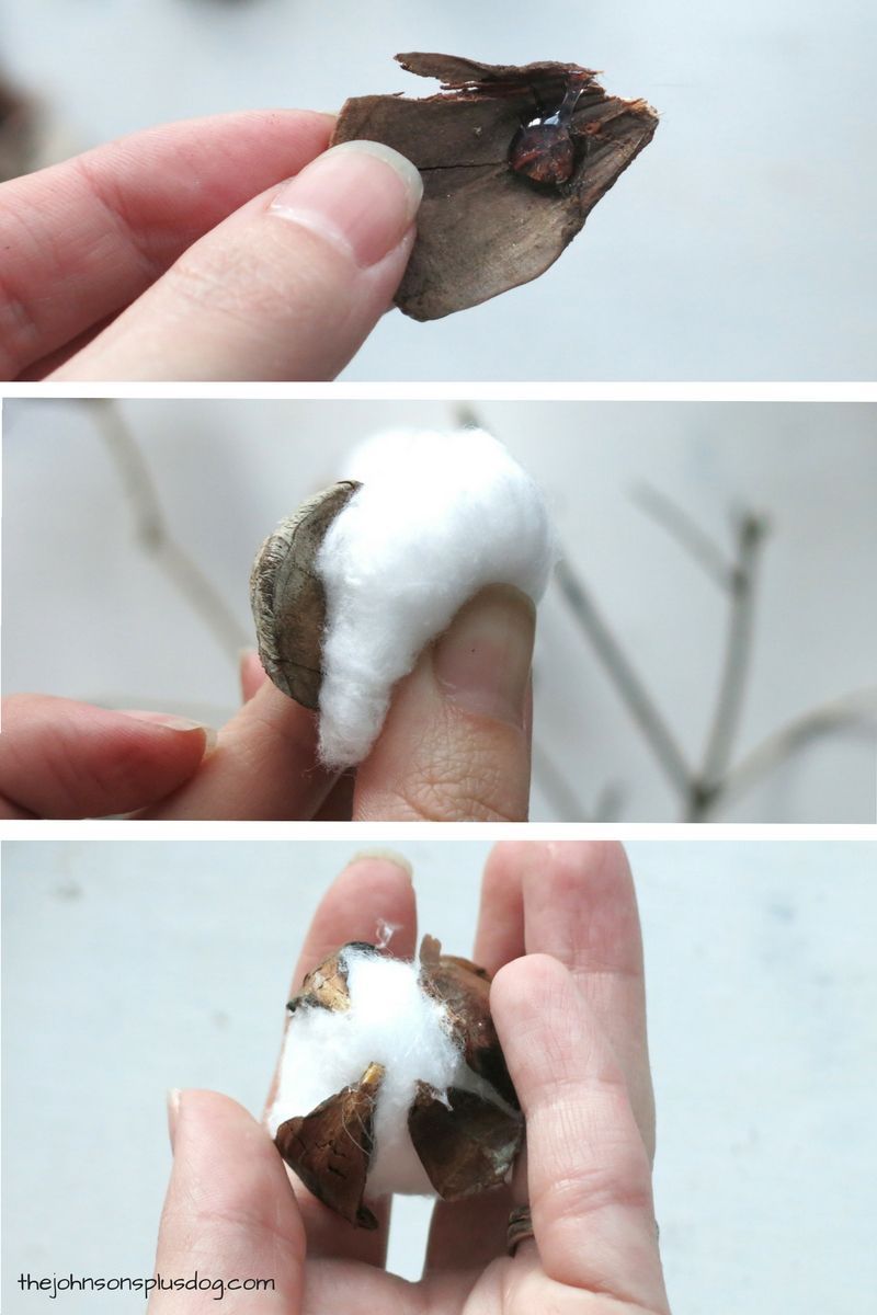 DIY Farmhouse Cotton Stems for $2 | Fixer Upper Style DIY | Cotton Boll Stems | Make Your Own Cotton Bolls | How To Make Cotton