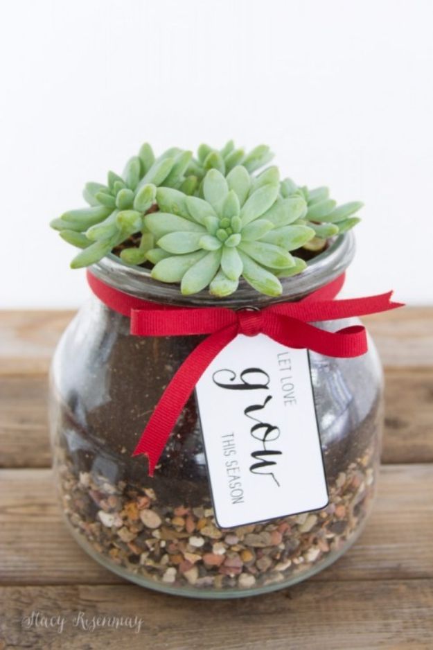DIY Gift for the Office – DIY Succulent Gift – DIY Gift Ideas for Your Boss and Coworkers – Cheap and Quick Presents to Make for