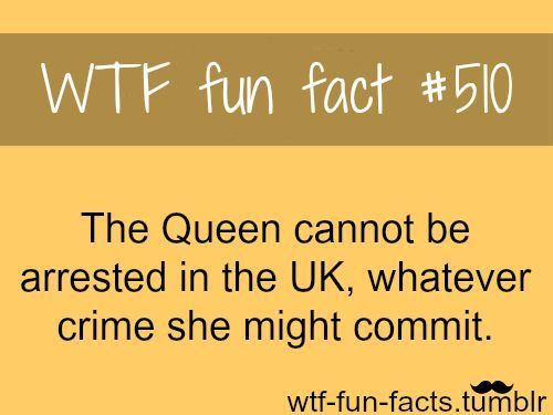 Funny Facts That You Never Knew Were True