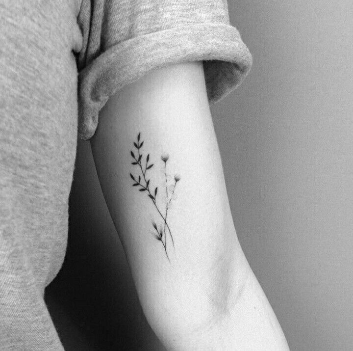 herbs tattoo