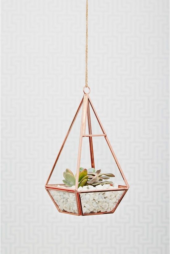 obsessed with this rose gold terrarium