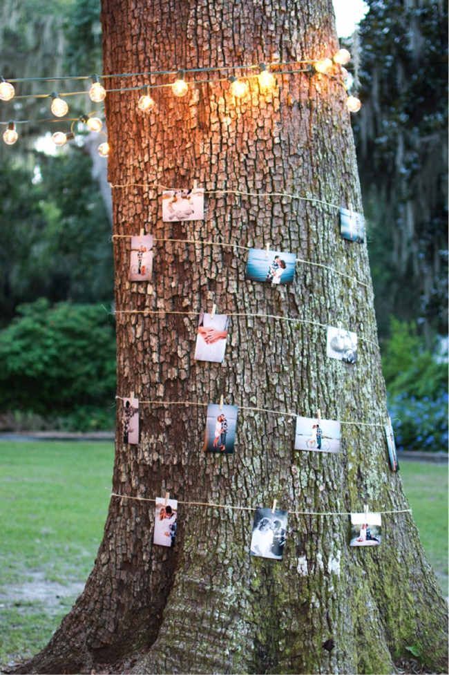 Story of Us – Tree with Photos – 17 Homemade Wedding Decorations for Couples on a Budget – EverAfterGuide