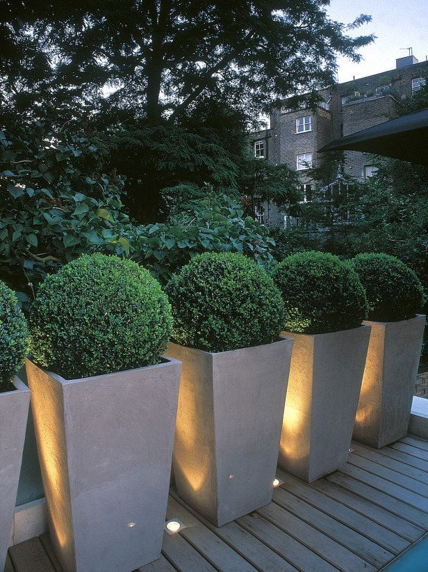 An example of using containers to create a typical hedge. Instead of plantings these boxwood straight in the ground, they are